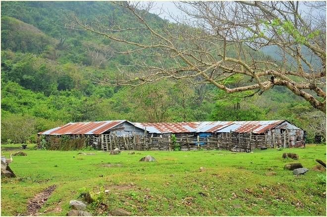 Có thể nói huyện Tuy An là trung tâm phát triển du lịch của Phú Yên, vì ở đây tập trung một số điểm đến nổi tiếng như gành Đá Đĩa, Bãi Xép, khu du lịch Sao Việt, đầm Ô Loan...