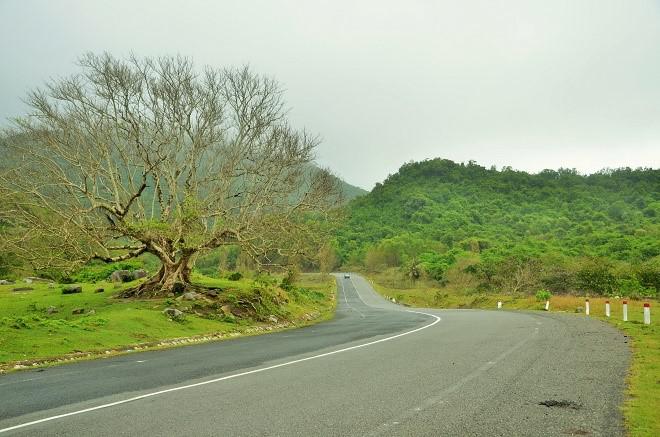 Trên con đường mòn Hồ Chí Minh trên biển, bạn có thể nán lại ven đường để lưu lại những khung hình đẹp tự nhiên ở nơi đây.