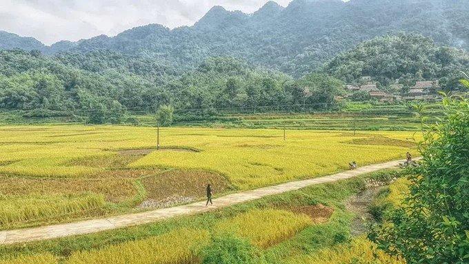 Bạn có thể đi bộ men theo các thửa ruộng, băng qua cánh đồng ngô sóng sánh, hướng đến những guồng quay nước của người dân tộc Thái nằm ven bờ suối.