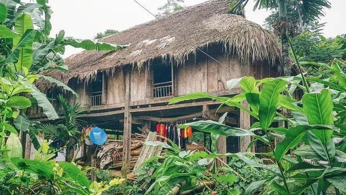 Đến Pù Luông, du khách có thể chọn các khu nghỉ dưỡng hoặc lưu trú tại nhà người dân theo hình thức homestay. Bữa tối ở Pù Luông mùa lúa chín thường có đĩa vịt Cổ Lũng béo mềm, đĩa rau xanh mát, có thể là hoa chuối, có thể là măng rừng, chấm với ít hạt mắc khén cay. Nhấp thêm chén rượu nồng là bạn đã thưởng thức trọn vẹn hương vị của vùng sơn cước.