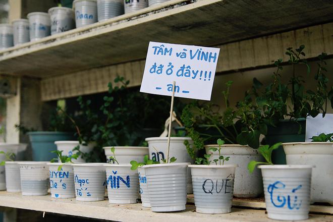 Chia sẻ với chúng tôi, anh Hoàng Quang, chủ quán cho biết: “Tôi rất muốn tạo ra một không gian mộc mạc, gần gũi những vẫn đáp ứng được nhu cầu cho những ai yêu thích ngồi cà phê. Bên cạnh đó, đây cũng là cách tôi làm đẹp thêm hình ảnh Đà Lạt trong lòng du khách”.