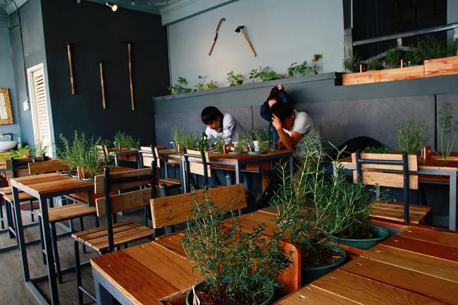 Bàn ghế đều được làm từ gỗ với thiết kế tinh tế khiến không gian trở nên sang trọng hơn. Ở mỗi chiếc bàn ấy đều được bày trí những chậu cây nhỏ xinh như: rau cải, rau húng, bạc hà...