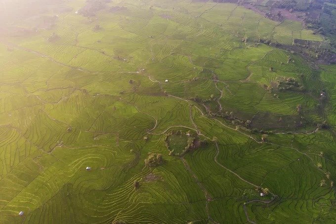 Đầu tháng 10, du khách đi dọc QL 25 qua địa bàn 2 xã H Bông, Ia Pal, huyện Chư Sê bắt gặp những thửa ruộng bậc thang trên cao nguyên.