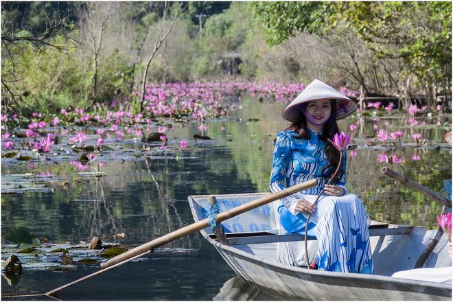 Điểm thu hút nhất của suối Yến thời gian này là những dải hoa súng mọc tự nhiên ven hai bờ suối. Đến đây, bạn sẽ bắt gặp hình ảnh thiếu nữ mặc áo dài thướt tha trên mạn thuyền, đâu đó là các nhiếp ảnh gia cùng tay máy không chuyên say sưa sáng tác. Hiện giá vé vào cửa tham quan suối Yến là 50.000 đồng một người.
