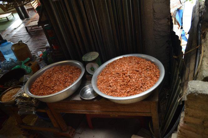 Tôm Thác Bờ - Ảnh: Phạm Tô Chiêm