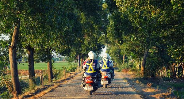 Con đường đến phá Tam Giang băng qua rất nhiều cánh đồng lúa mênh mông bát ngát, rất nhiều những hàng cây phủ bóng mát dọc đường đi. Ảnh: Emily Nguyen