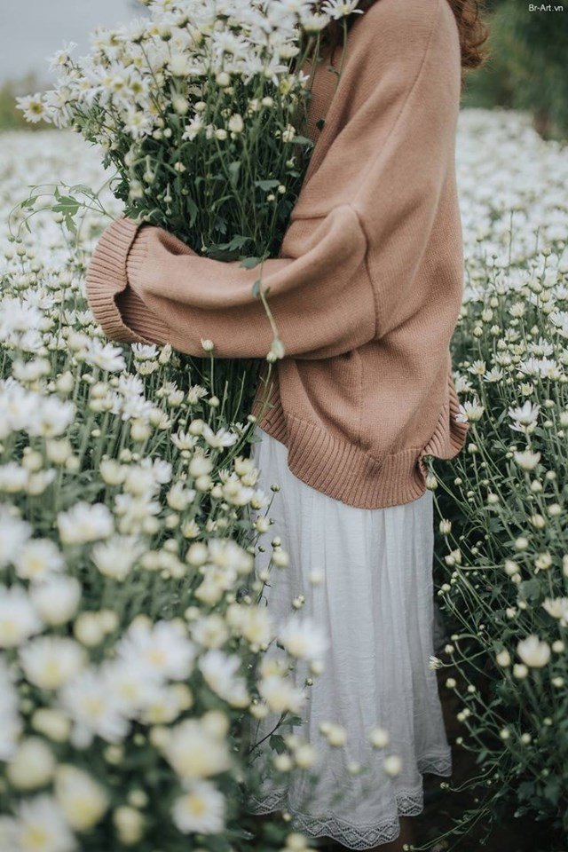 Ảnh: br-art.vn