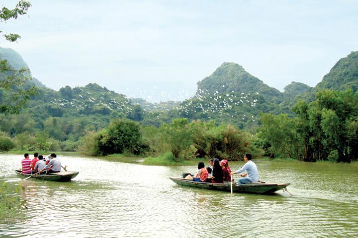 Du khách đi thuyền ngắm chim chóc. Ảnh: Xuân Lâm