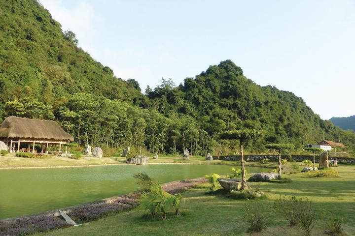Màu xanh ở Thung Nham