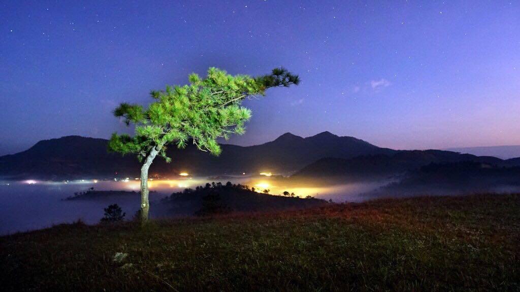 Ảnh: Thành Trung