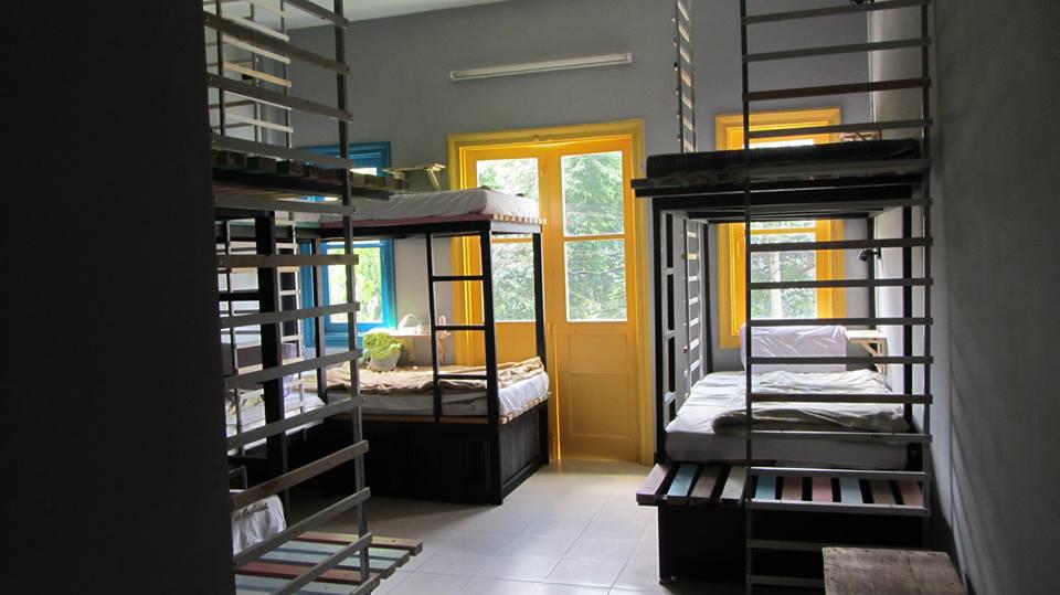 Color Dorm