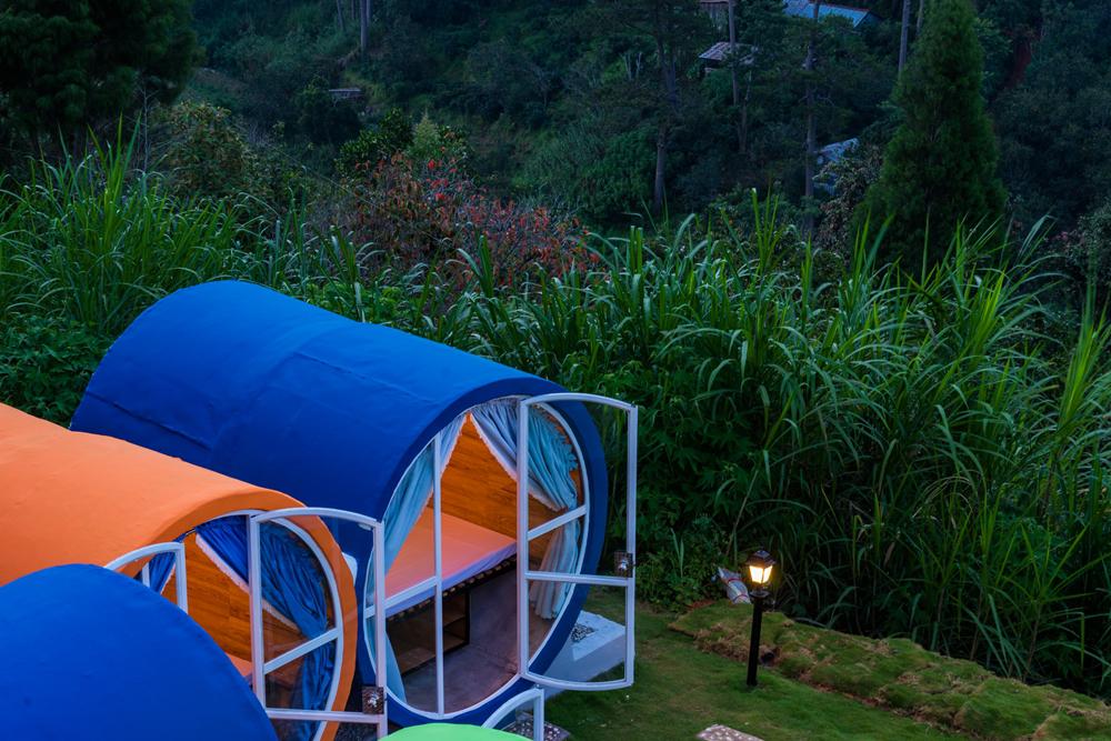 Không gian xanh mướt xung quanh hostel rất đỗi bình yên