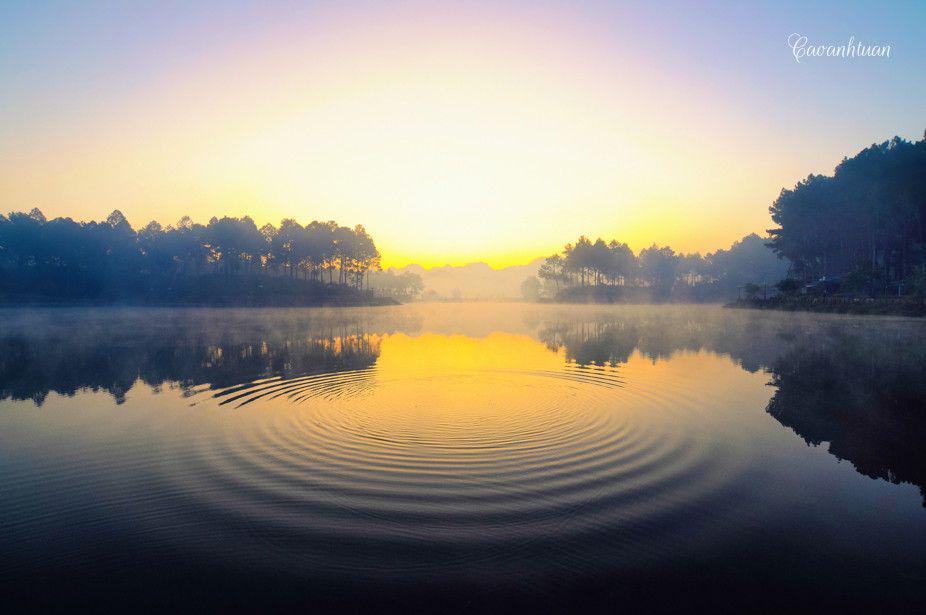 Hồ giữa rừng thông Mộc Châu. Ảnh: Cao Anh Tuấn