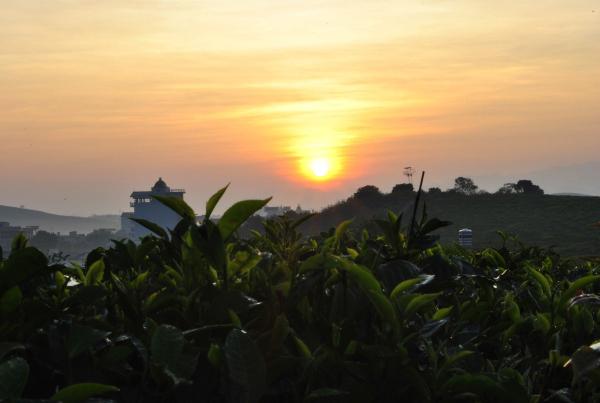 Ánh hoàng hôn đổ xuống đồi chè đẹp yên bình. Ảnh: iHay