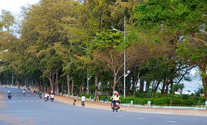 Con đường xinh đẹp chạy dọc theo biển Đồi Dương.