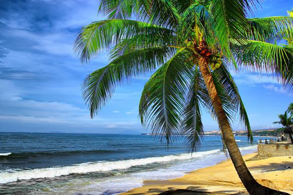 Bãi biển Phan Thiết trong xanh và yên bình.