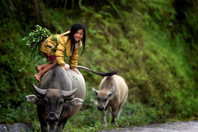 Sau những buổi lao động hăng say người dân lại ngồi nhâm nhi tách trà Shan Tuyết cổ thụ có hàng chục năm tuổi với vị chát ngọt đến đắm say lòng người, giúp họ quên đi những mệt mỏi ưu phiền của cuộc sống. Các bức ảnh của hai tác giả còn khiến người ta cảm thấy như đang ở chốn thiên đường với những dòng sông mây bồng bềnh và huyền diệu được nhìn từ đỉnh Chiêu Lầu Thi. Tác phẩm mang tên Cơn mưa cảm xúc.