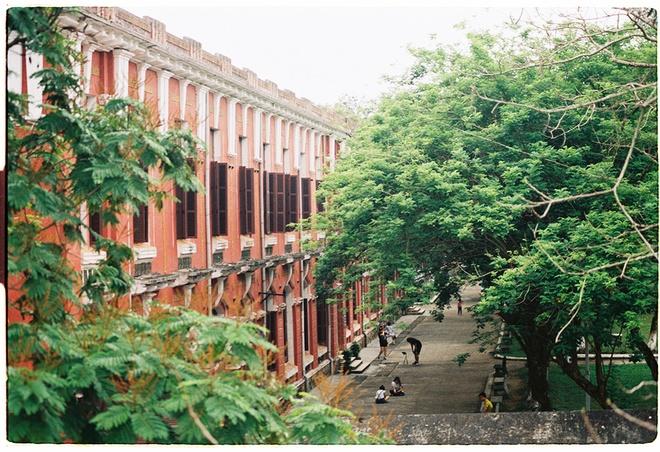 Trải qua thăng trầm của thời gian, nhiều dãy phòng học vẫn mang đậm kiến trúc đặc trưng Pháp với màu sắc, hoa văn trang trí, cửa chính cũng như những ô cửa phụ.