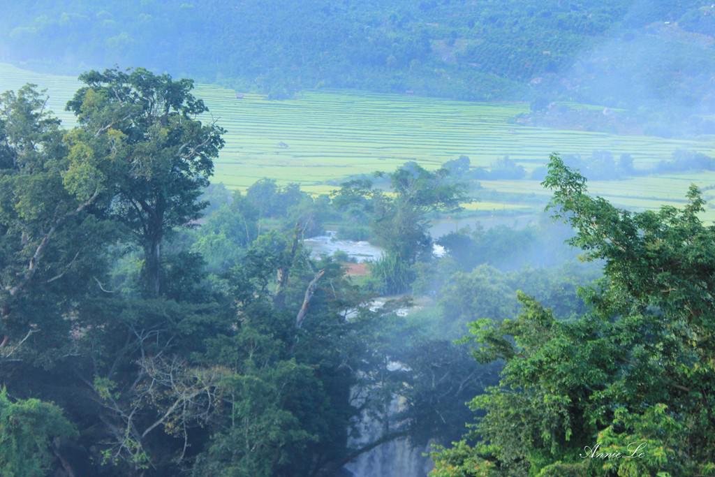 Đặc biệt, nếu là người đam mê khám phá, chịu khó lần mò vào những vùng đất nằm sâu trong núi, bạn sẽ gặp những thung lũng rộng lớn vàng màu lúa chín.
