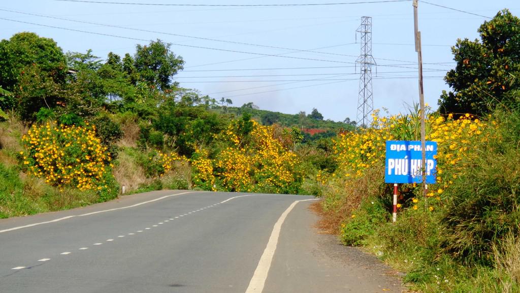 Những năm gần đây, mỗi khi mùa dã quỳ đến, dân phượt hay rỉ tai nhau về những địa điểm săn hoa, và đèo Phú Hiệp của Di Linh là một trong những nơi được nhắc đến như một điểm không thể bỏ qua.