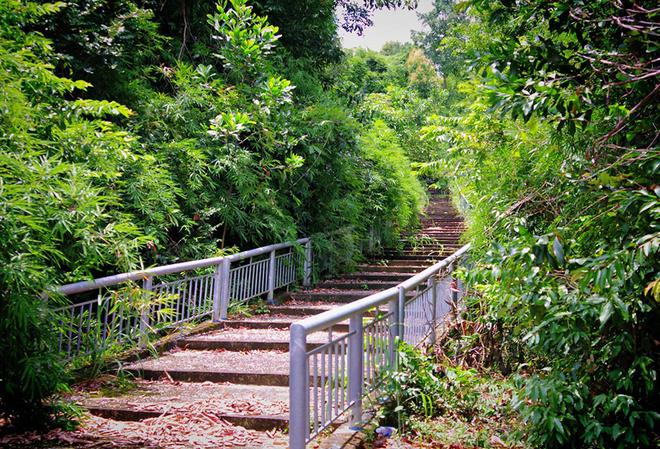 Thông thường, khách đến đây lựa chọn cho mình hai phương án khác nhau để tham quan tiếp, một khám phá núi Cậu bằng cách men theo con đường rợp bóng mát với những rừng trúc bao quanh hay chinh phục đỉnh núi Cậu với hàng trăm bậc thang cao, và từ trên đỉnh bạn sẽ có một góc nhìn rộng về toàn cảnh hồ và xa xa là ngọn núi vốn rất nổi tiếng của vùng đất thép Tây Ninh, núi Bà Đen.