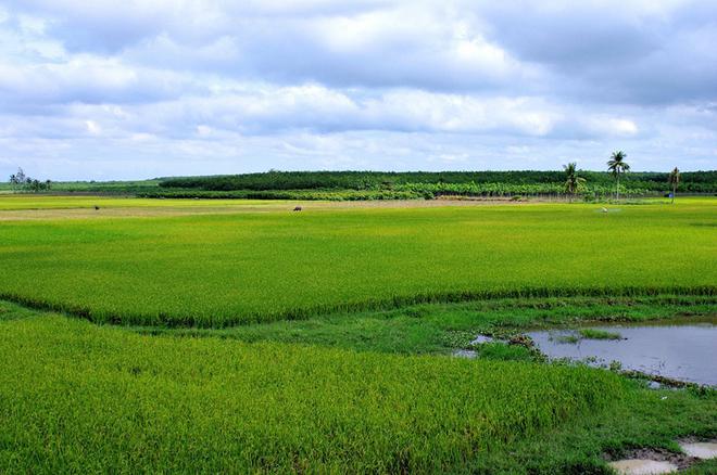Hồ Dầu Tiếng có không gian rộng lớn, quan cảnh thiên nhiên trải dọc theo hai bên hồ tạo nên một bức tranh thiên nhiên hữu tình và thơ mộng. Các đảo nhỏ như Xỉn, đảo Trảng, đảo Đồng Bò trong vùng hồ tạo nên những nét chấm phá mới, quyến rũ người lữ khách đến tham quan.
