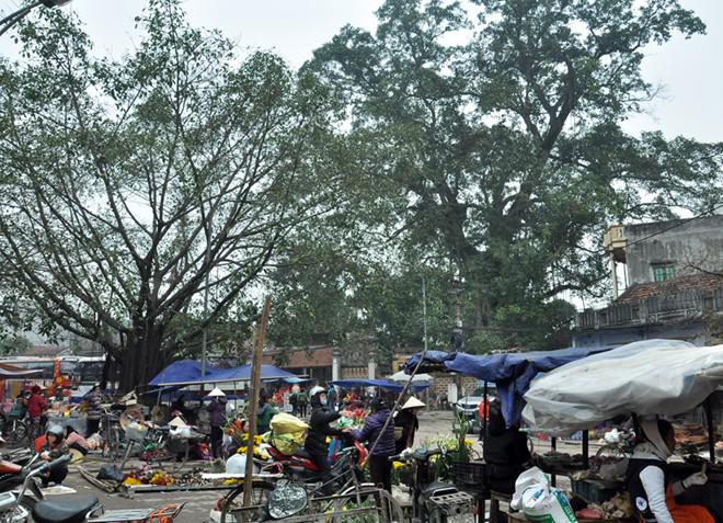 Phiên chợ quê được họp ngay cổng chùa Mía.