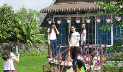Sẵn sàng dang nắng để có một bức ảnh đẹp bên hoa. Ảnh: N.NAM