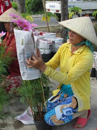 Hoa chuẩn bị lên xe đem đi "gả bán"! Ảnh: N.NAM