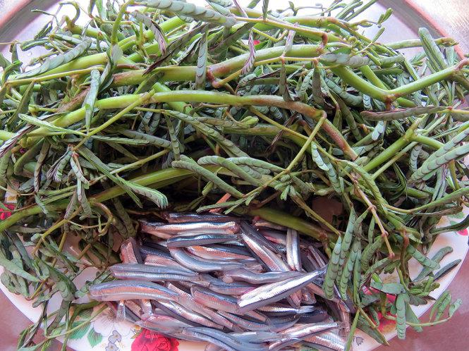 Nguyên liệu để chế biến món canh cá cơm nấu với rau giút - Ảnh: Minh Kỳ
