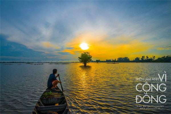 Cánh đồng An Giang. Ảnh: Trần Ân.