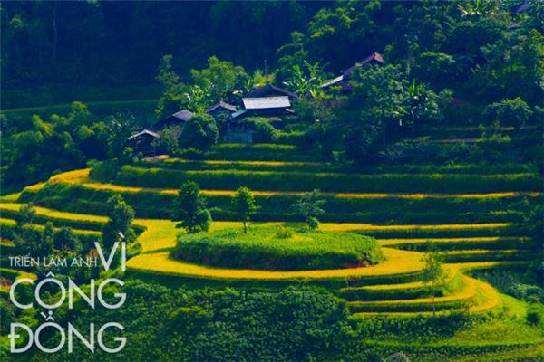 Bản làng thanh bình trên thửa ruộng bậc thang ở vùng cao. Ảnh: Nguyễn Anh Tuấn.