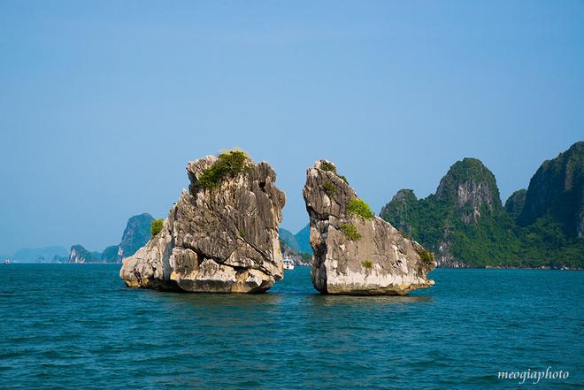 Hòn Trống Mái hay còn gọi là hòn Gà Chọi, nằm ở phía Tây Nam vịnh Hạ Long, cách Bãi Cháy 5 km.