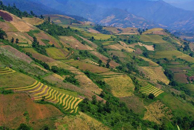 Ở những góc khác trong thung lũng, bạn có thể nhận thấy vẫn còn rất nhiều ruộng bậc thang mà lúa trên nương vẫn đang xanh rì...