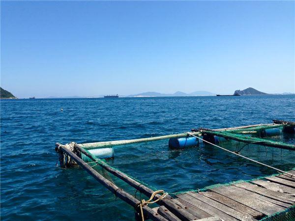 Không phải ngẫu nhiên mà Tổ chức Du lịch thế giới đã đánh giá Đại Lãnh, Vũng Rô (nằm trong cụm du lịch liên hoàn Văn Phong - Đại Lãnh - Vũng Rô) là một trong những thắng cảnh nghỉ ngơi đẹp nhất khu vực châu Á, vượt xa biển Phuket (Thái Lan) và có thể so sánh với những thắng cảnh tuyệt vời khác trên thế giới. Ảnh: Pan Xê
