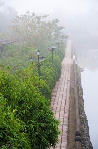 Con đường nhỏ trong làn sương sớm.