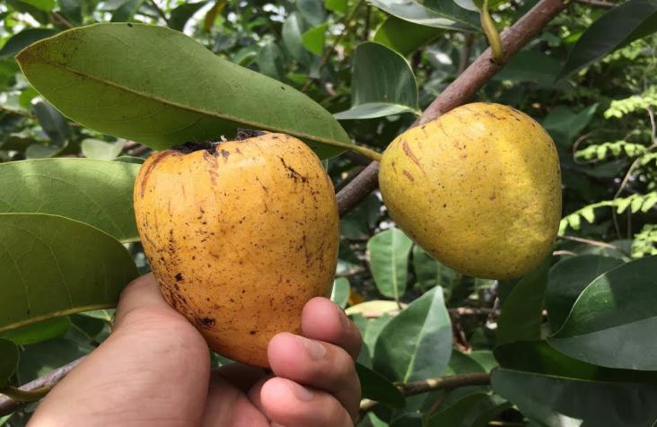 Điểm đến hấp dẫn